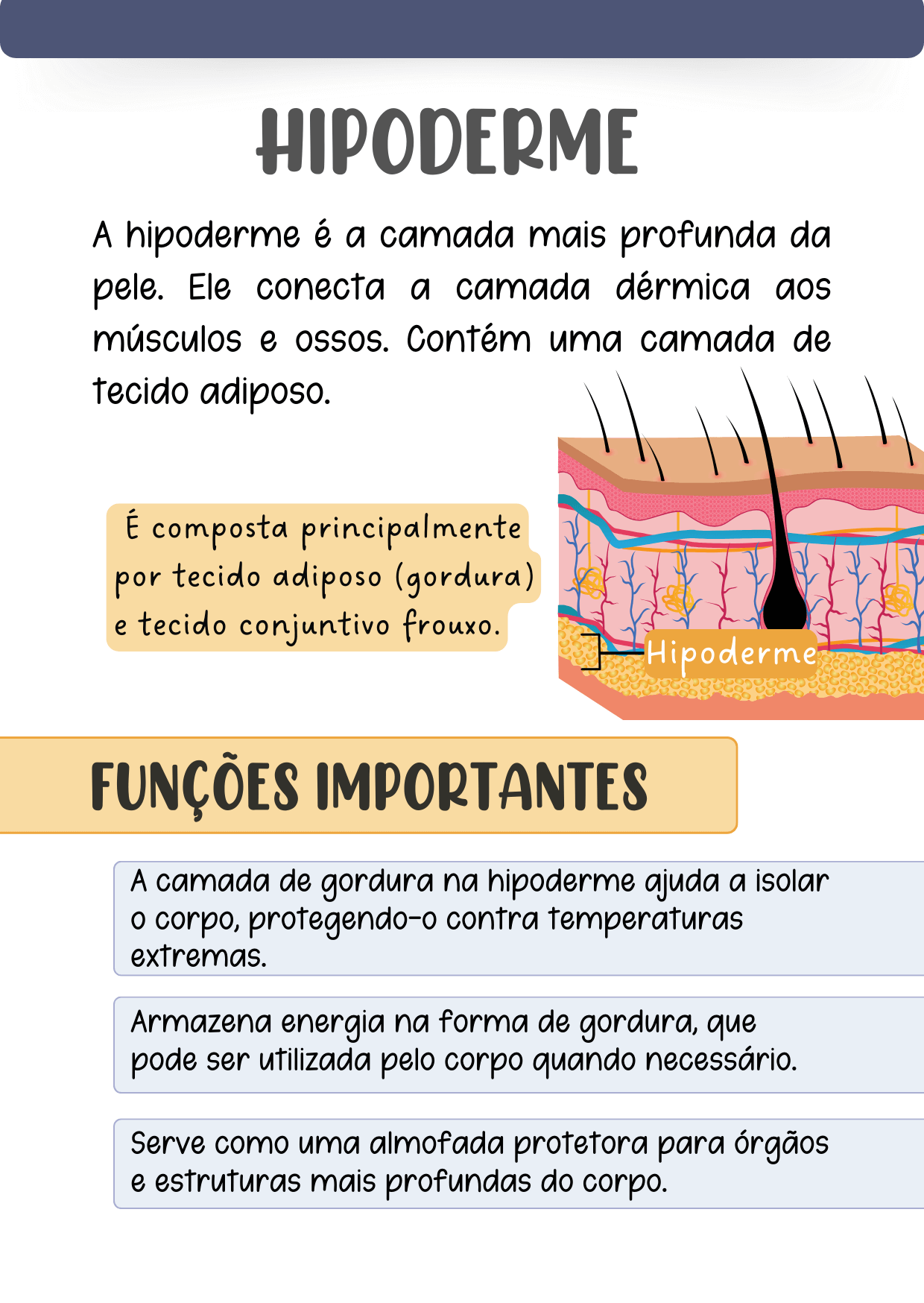 HISTOLOGIA2