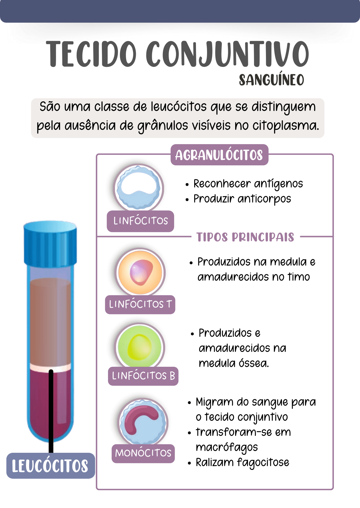 HISTOLOGIA5