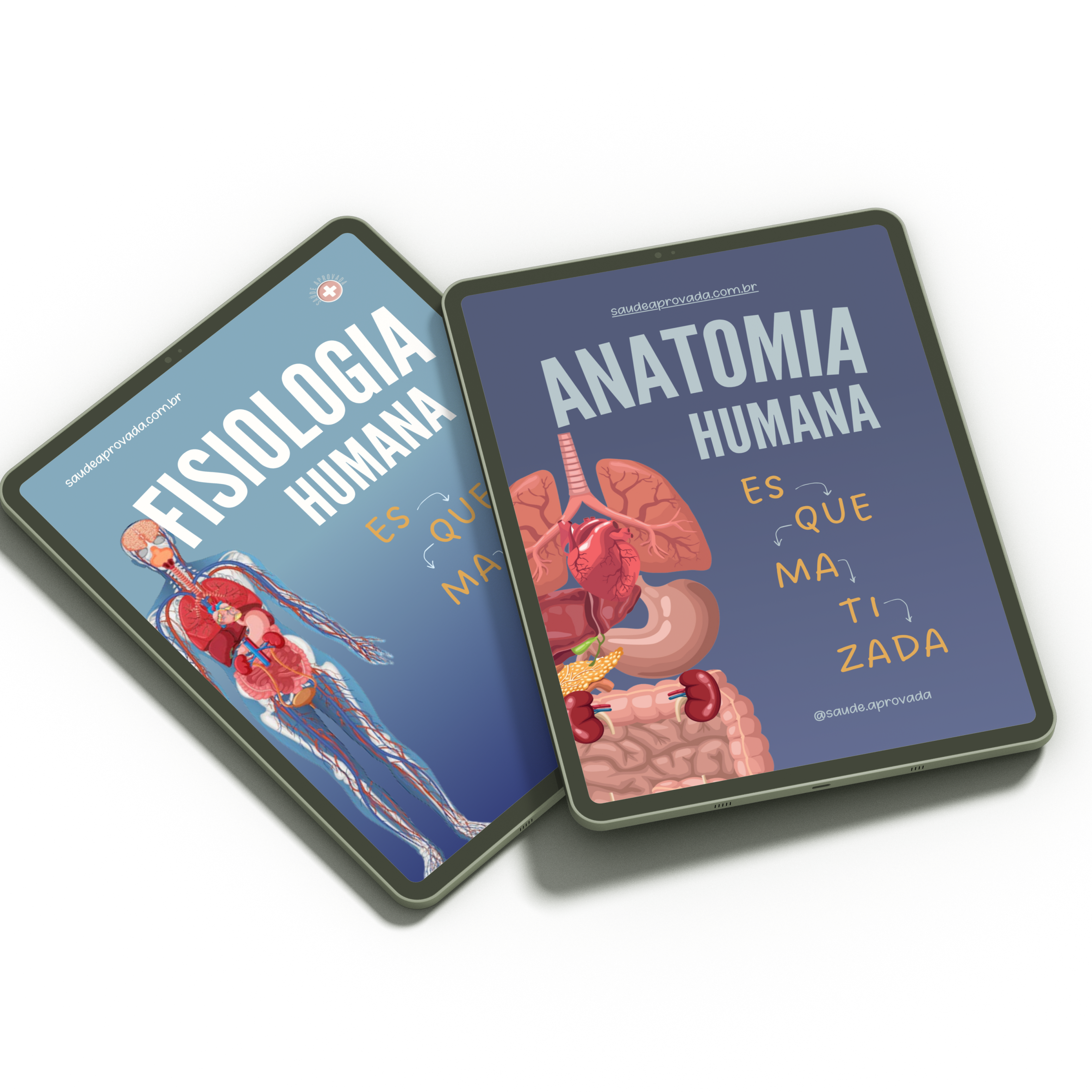 anatomia + fisiologia